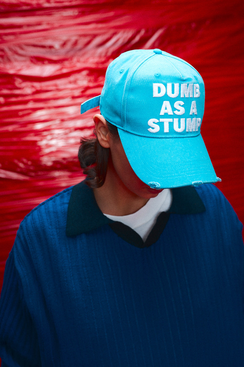 "Dumb as a stump" hat blue