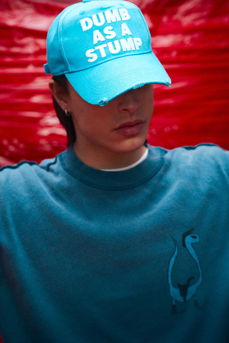 "Dumb as a stump" hat blue