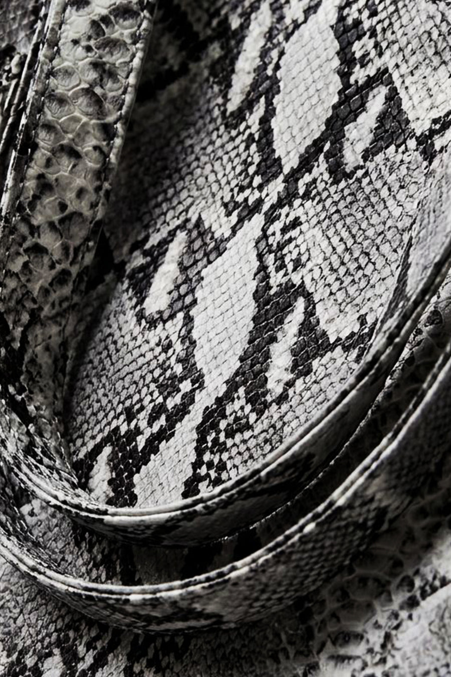 "LEON" snakeskin bag white